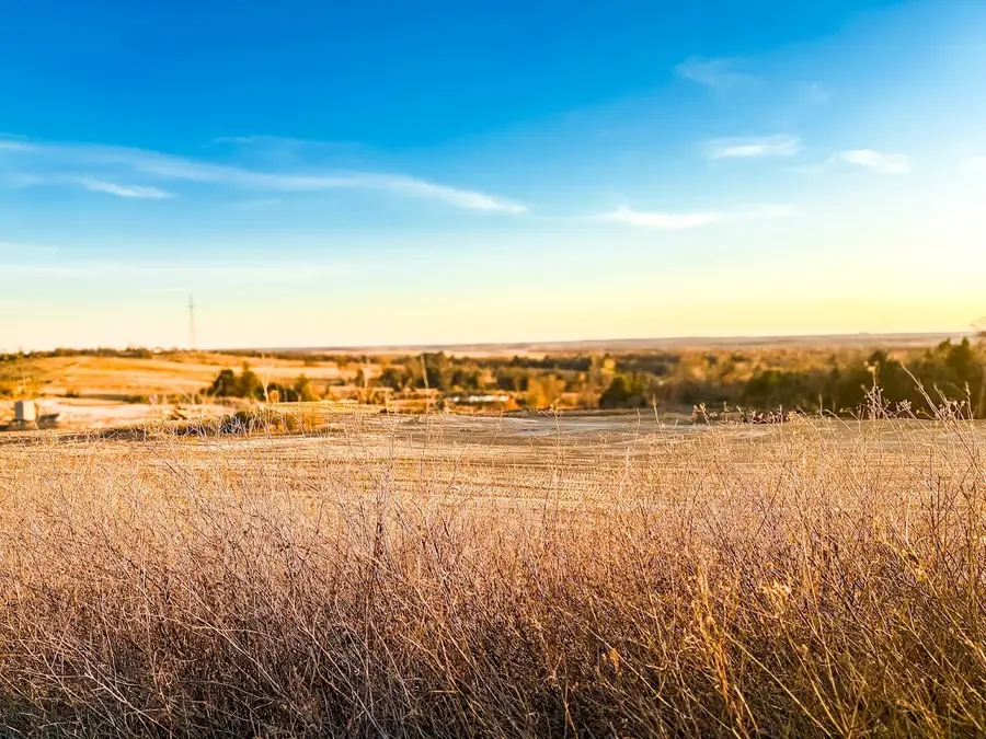 TBD State Highway 75, Buffalo, TX 75831 - #3