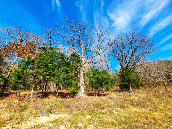 Lot 463 Us-175, Larue, TX 75770