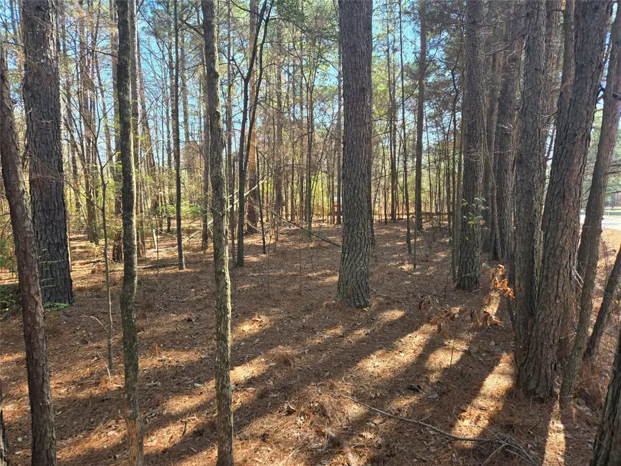 0 Linton Road, Benton, LA 71006 - #2