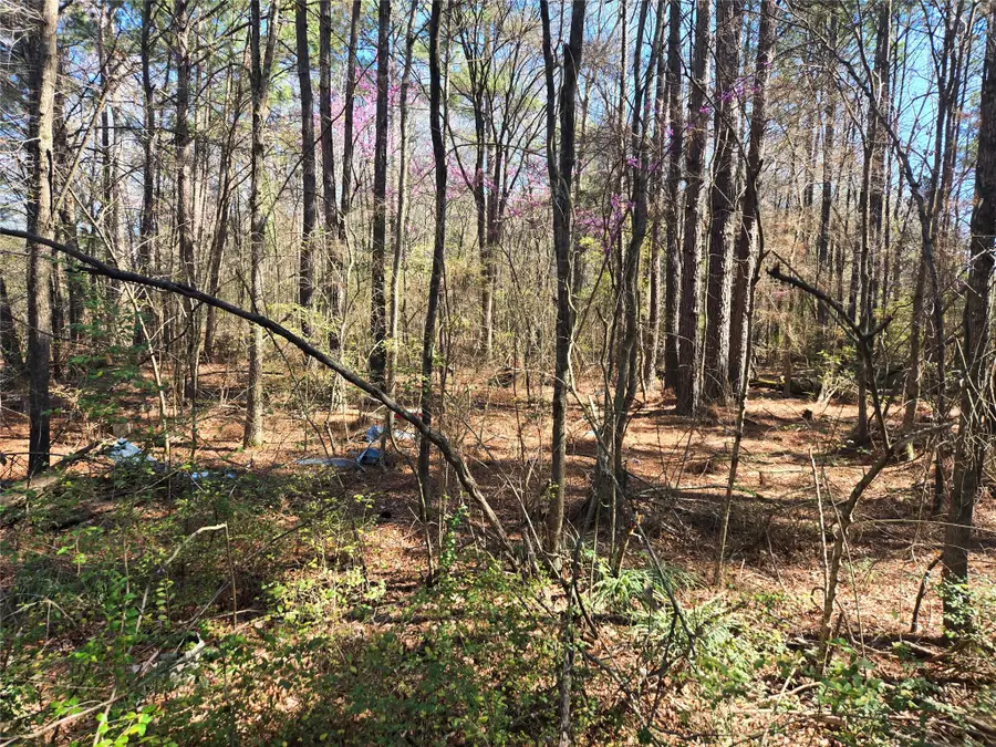 0 Linton Road, Benton, LA 71006 - #3