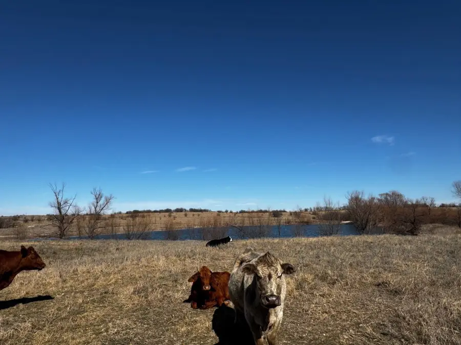 1121 County Road 4522, Decatur, TX 76234 - #3