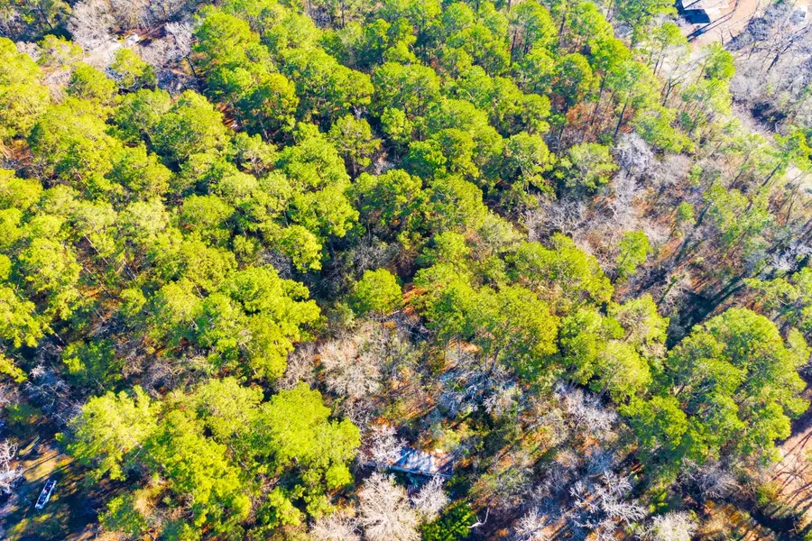 Lot 30 Cedar Court, Trinity, TX 75862 - #2