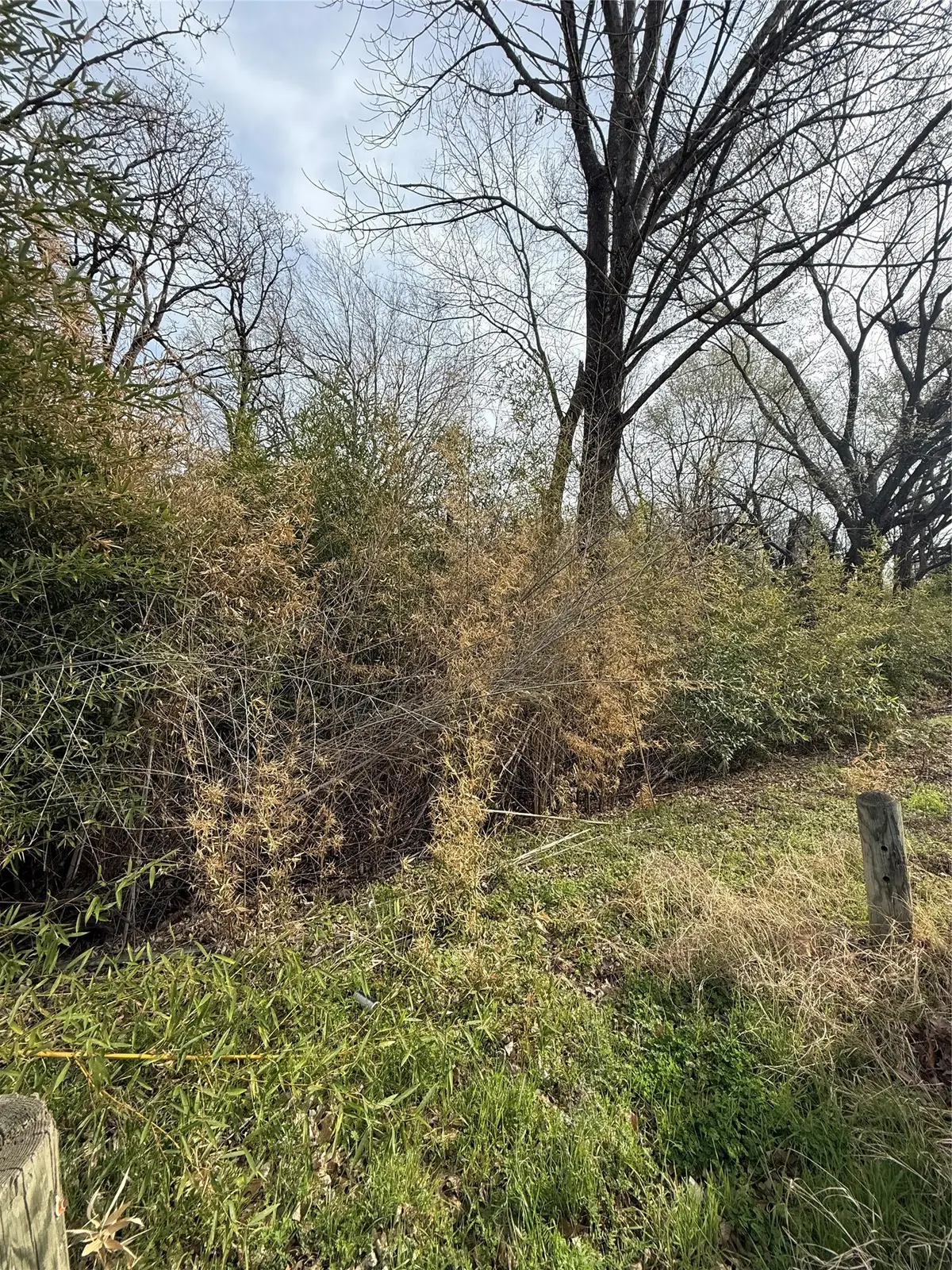 1113 Owhyhe Road, Tool, TX 75143 - #1