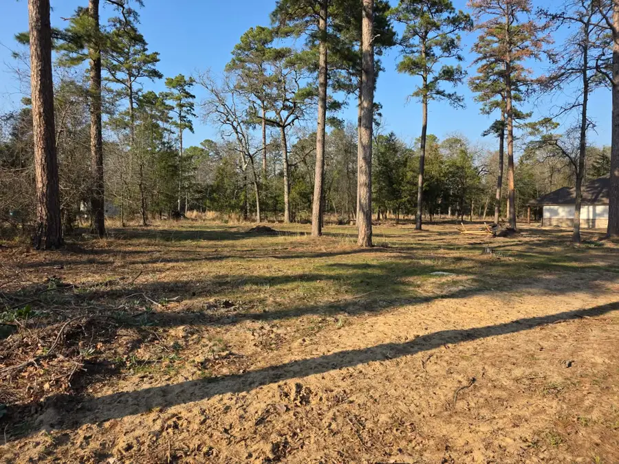 Lot 36 & 37 King Charles Road, Scroggins, TX 75480 - #3