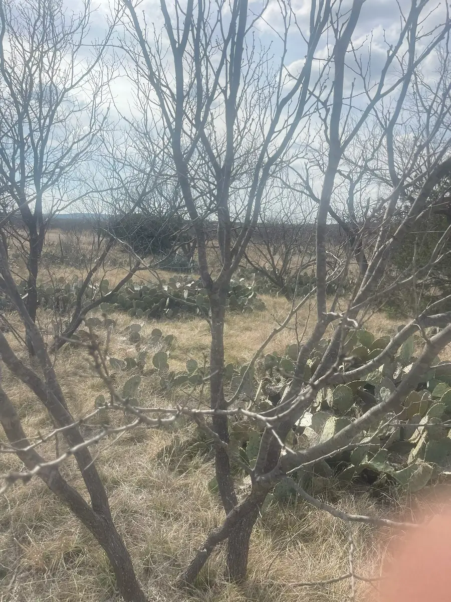 TBD County Road 221, Brookesmith, TX 76827 - #2