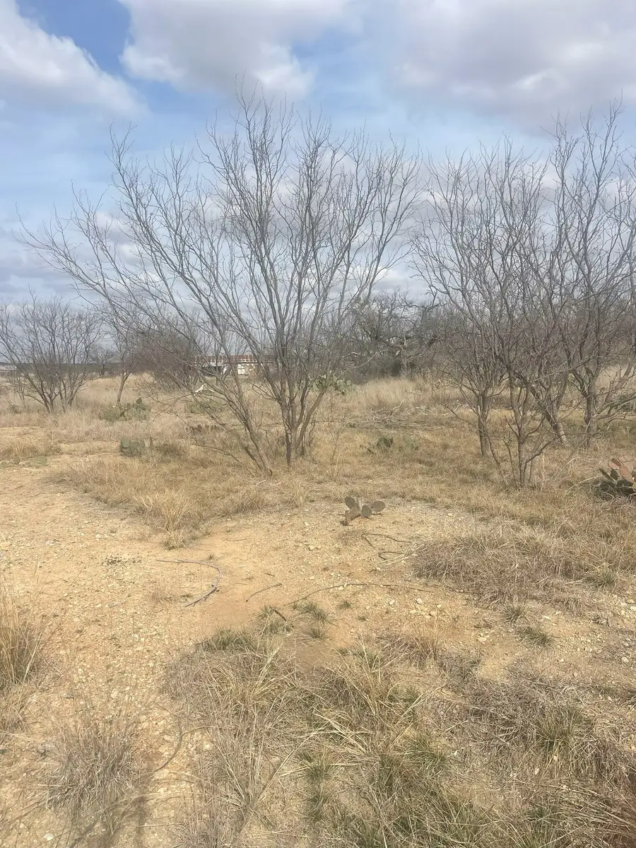 TBD County Road 221, Brookesmith, TX 76827 - #3