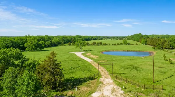 363 County Road 44880, Blossom, TX 75416