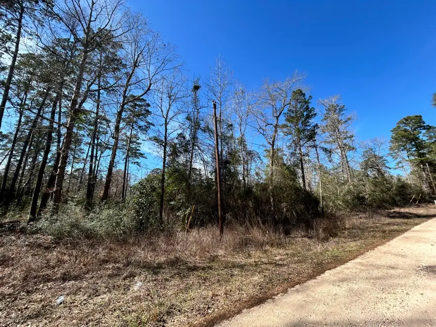 Lot 35 N Friar Tuck Drive, Woodville, TX 75979 - #3
