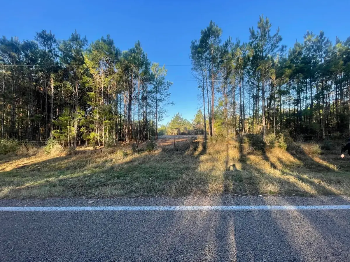 Lot 4 E Fm 942, Livingston Onalaska, TX 75934 - #1