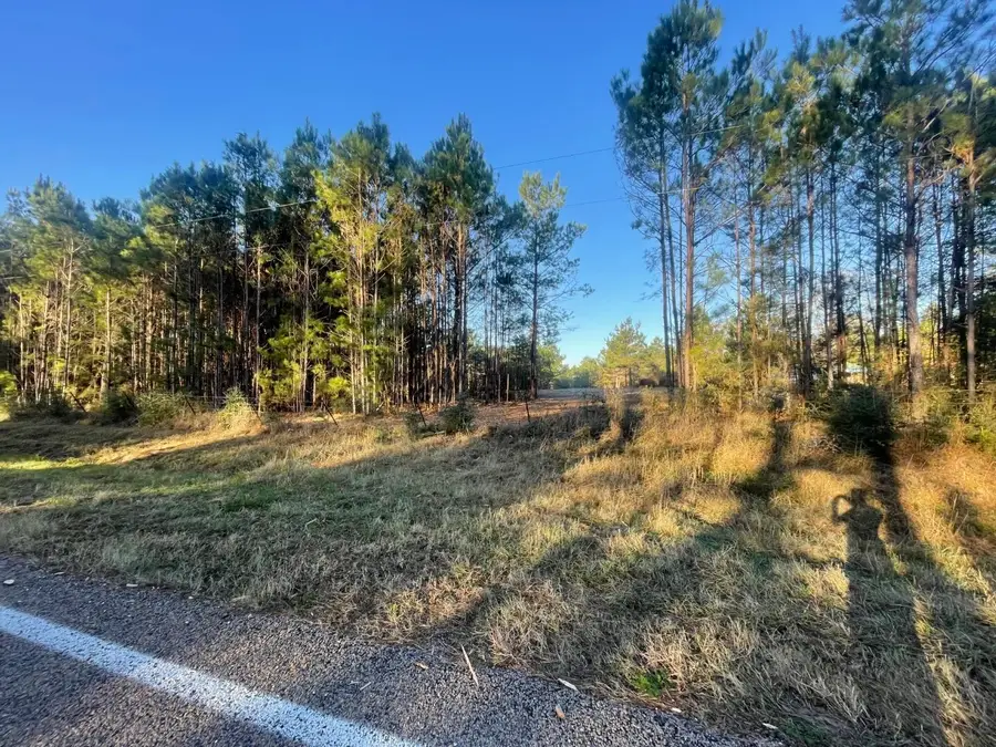Lot 4 E Fm 942, Livingston Onalaska, TX 75934 - #3