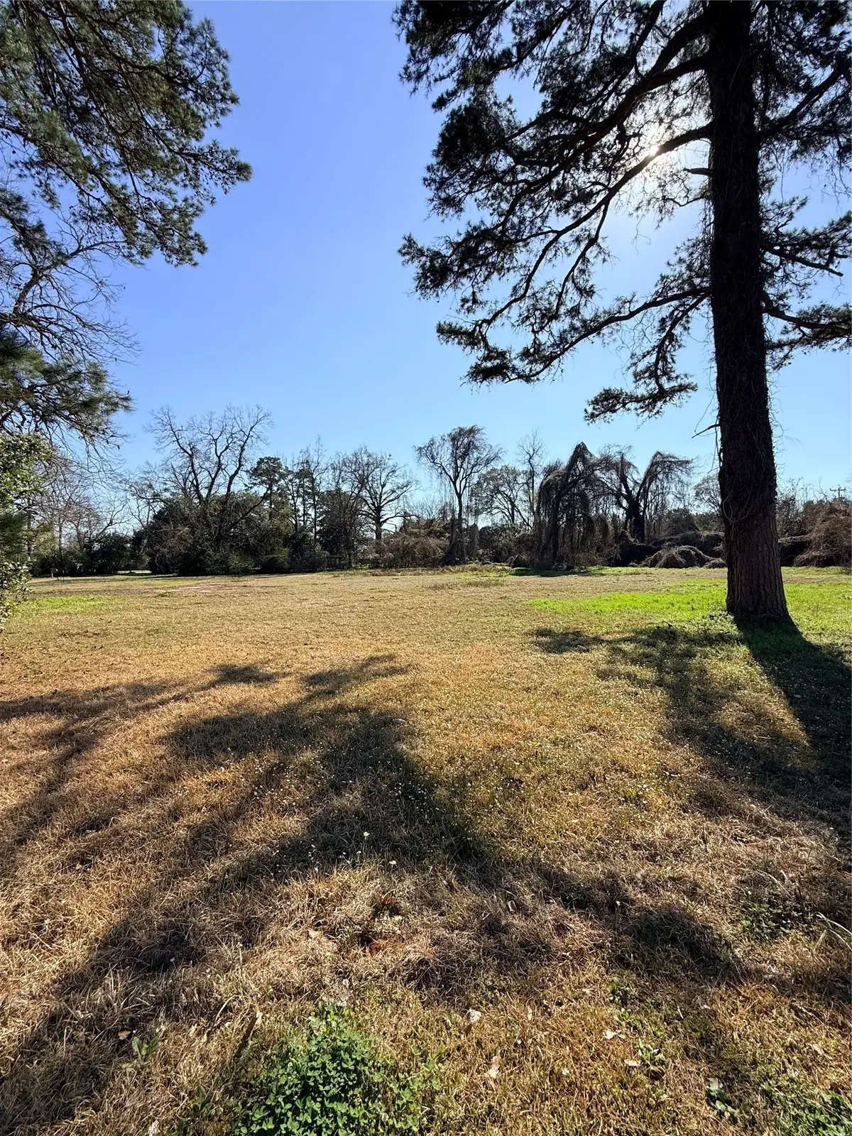 2206 Twitchell Street, Coushatta, LA 71019 - #1