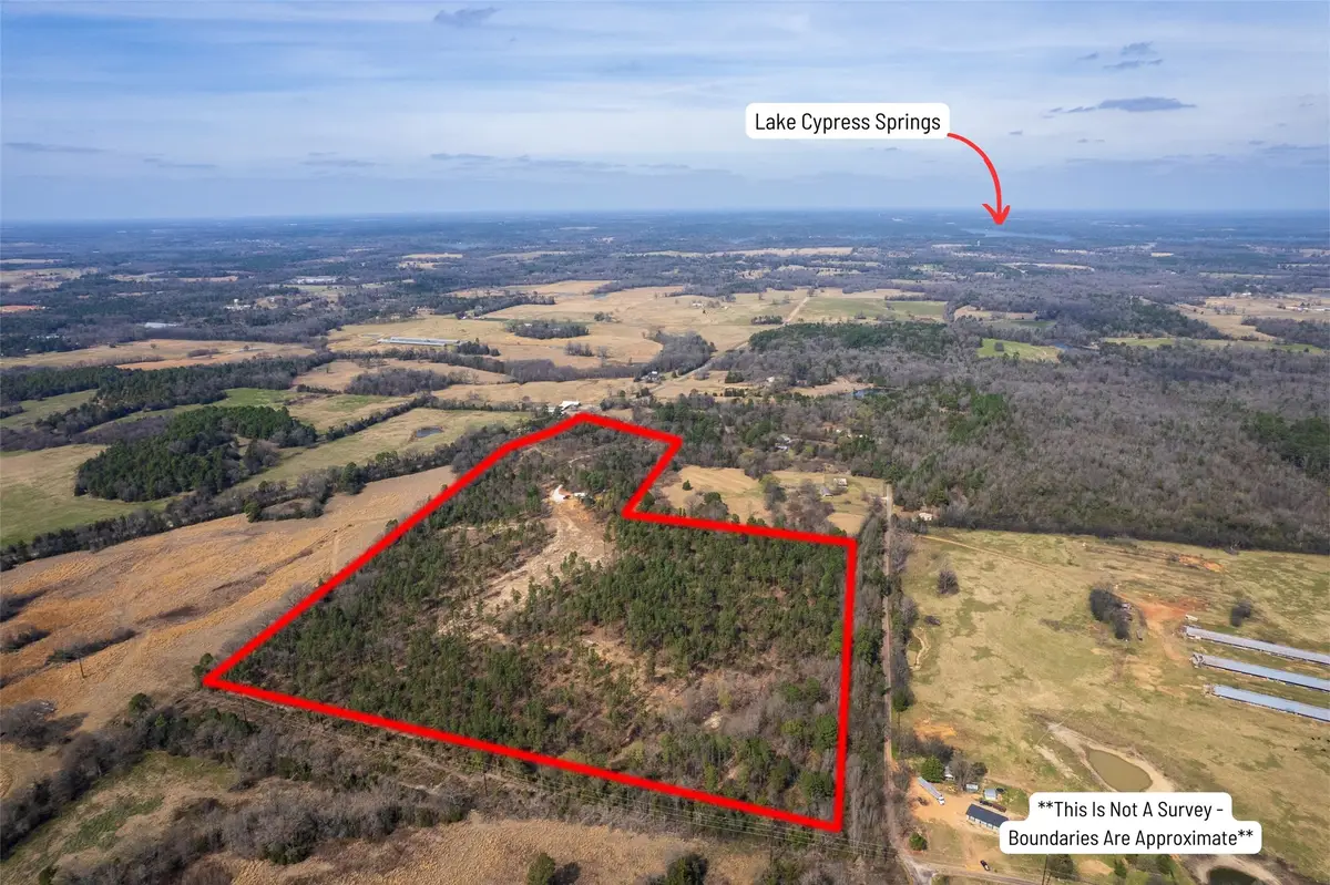 130 SE County Road 4415, Scroggins, TX 75480 - #1