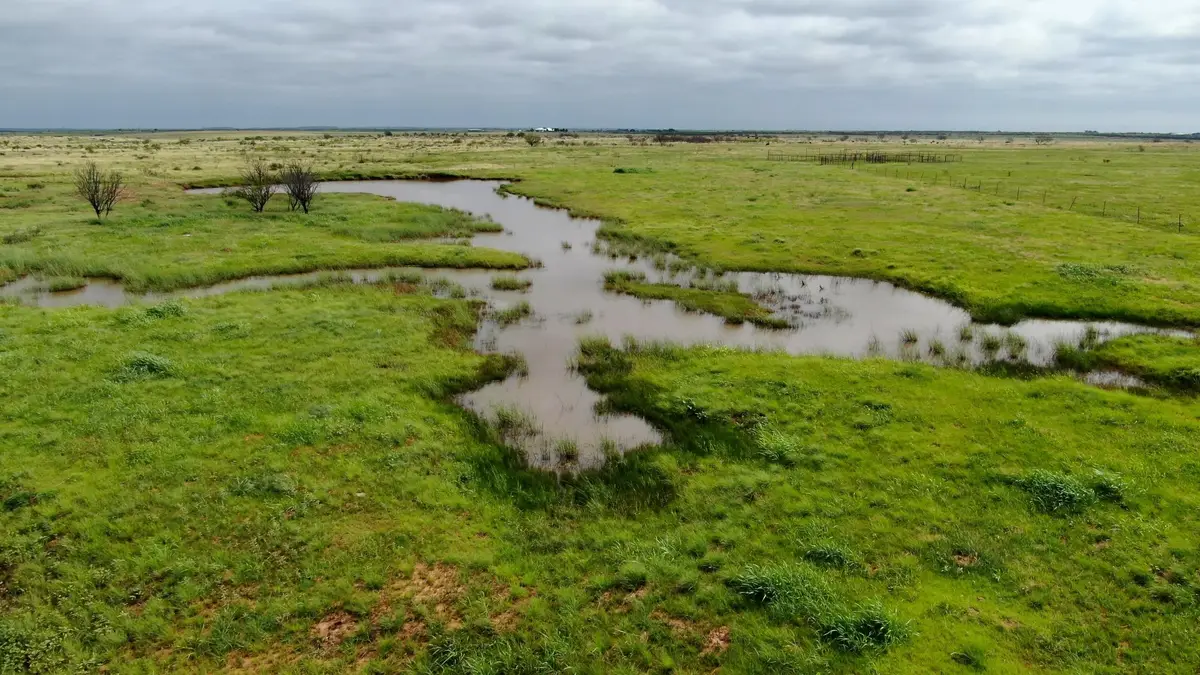 TBD State Hwy 79, Olney, TX 76374 - #1