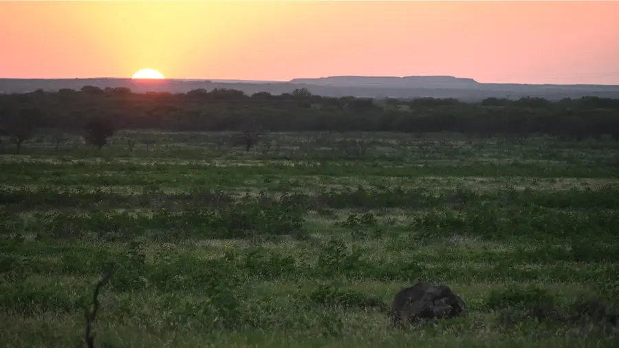 TBD State Hwy 79, Olney, TX 76374 - #3