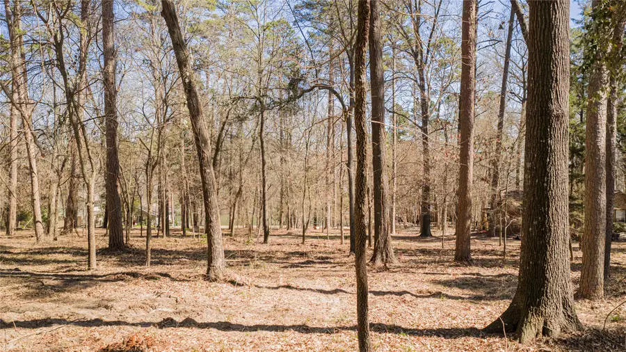 TBD King Larry, Scroggins, TX 75480 - #2