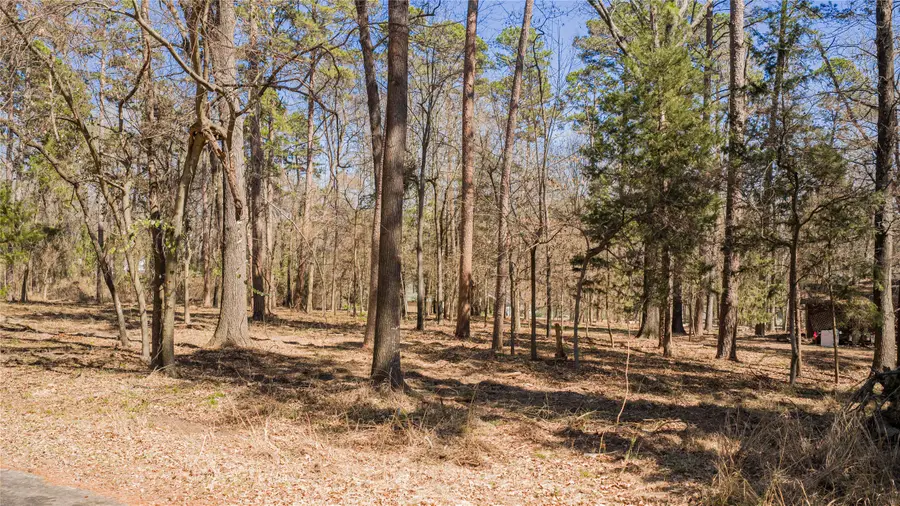 TBD King Larry, Scroggins, TX 75480 - #3