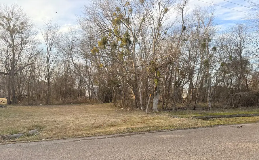 411 S Leon Street, Groesbeck, TX 76642 - #2