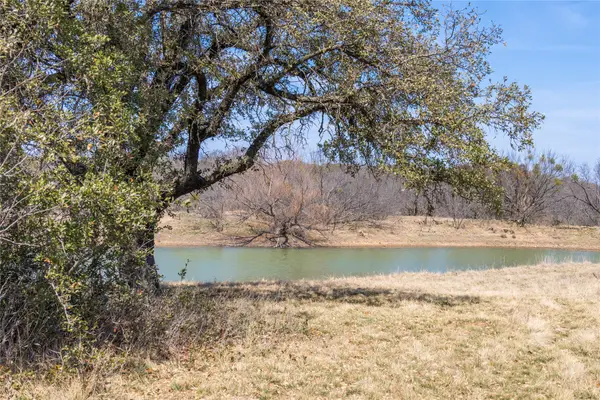 91 Acres Co Rd 370, Carbon, TX 76435