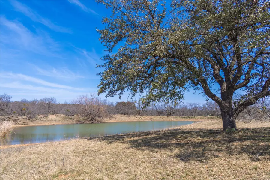 91 Acres Co Rd 370, Carbon, TX 76435 - #2