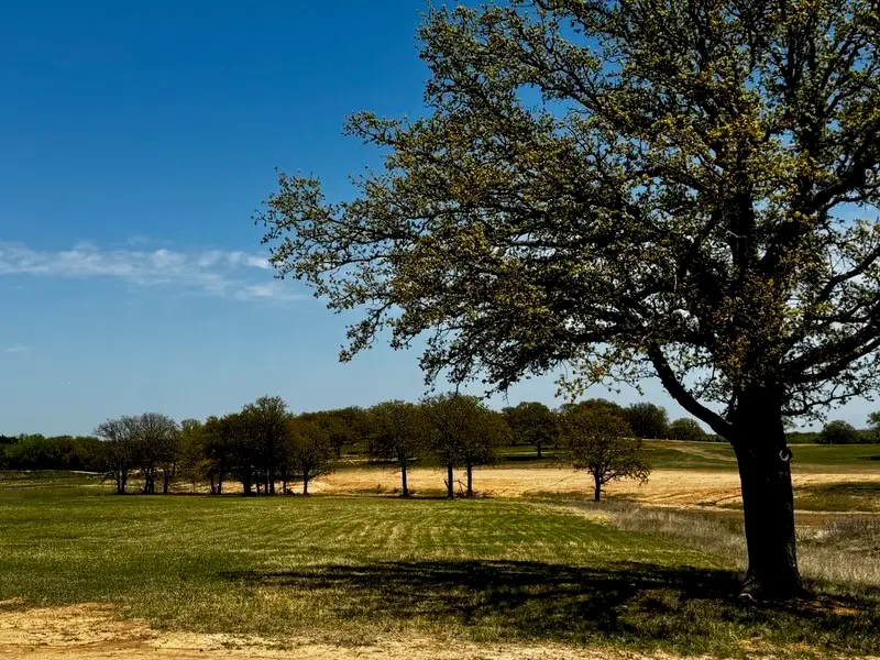 141 Woodbridge Boulevard, Bowie, TX 76230 - #3