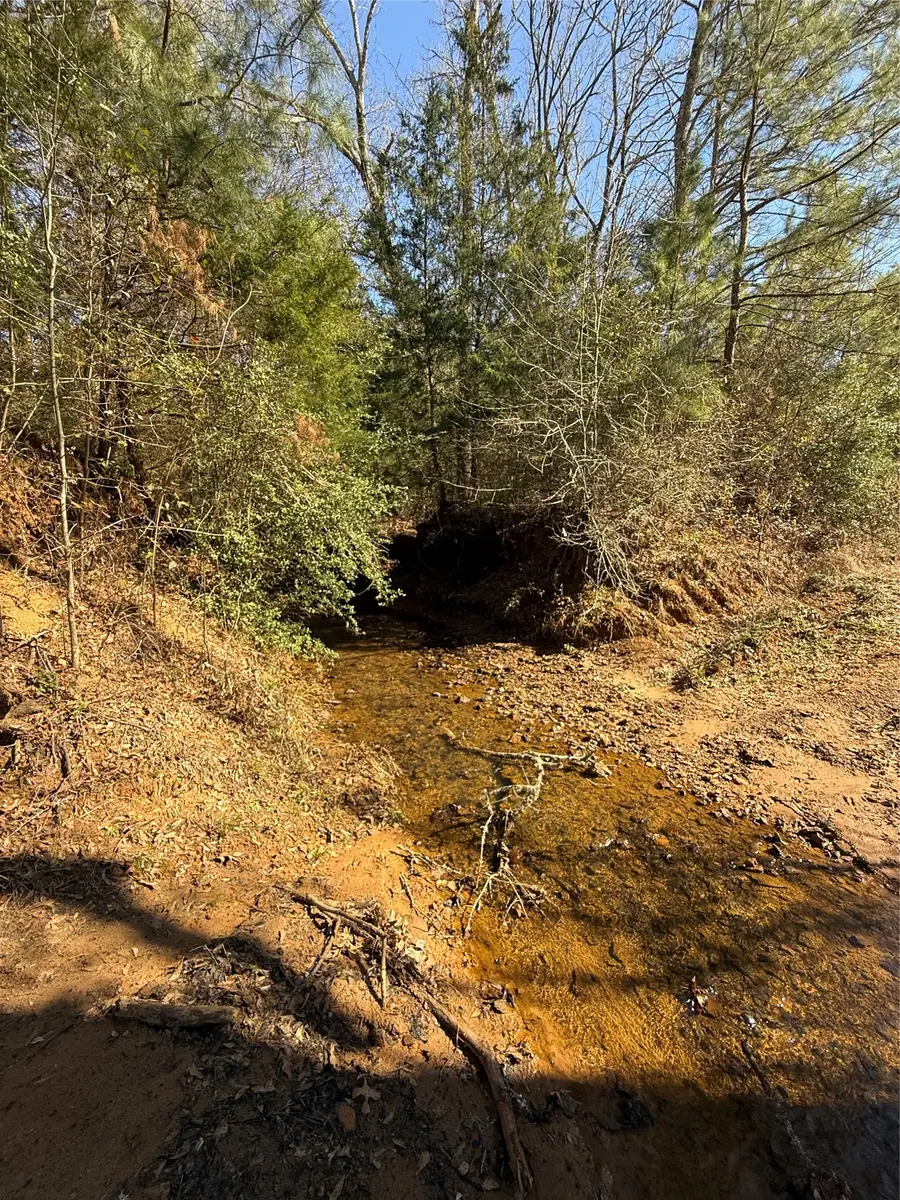 TBD Cr 1755, Grapeland, TX 75844 - #3