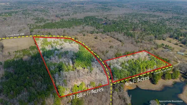 TBD County Road 3986, Winnsboro, TX 75494