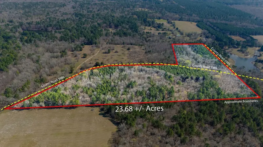 TBD County Road 3986, Winnsboro, TX 75494 - #2