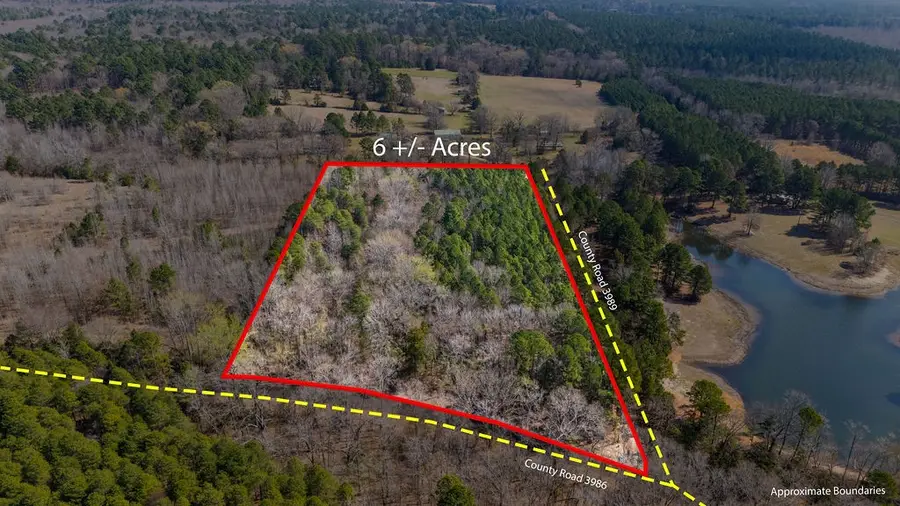 TBD County Road 3986, Winnsboro, TX 75494 - #3