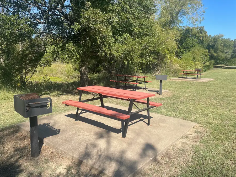 19116 White Bluff Drive, Whitney, TX 76692 - #2