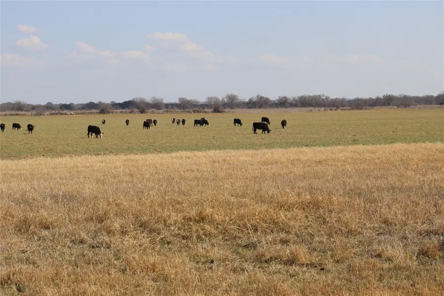 TBH Cr 415, Comanche, TX 76442 - #3