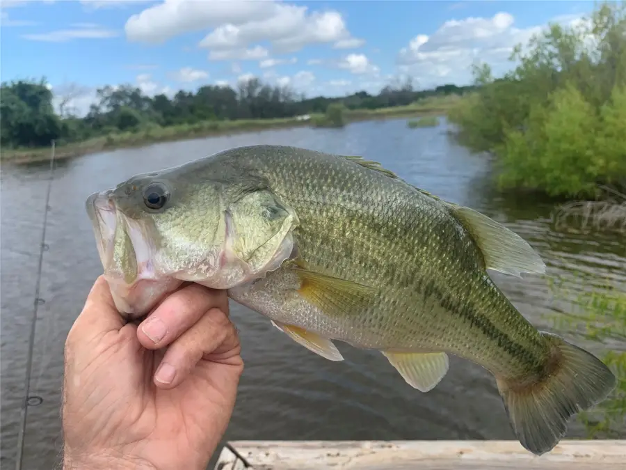 1642 County Road 234, Hico, TX 76457 - #3