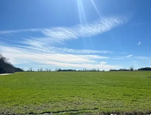 tbd Farm Road 824, Roxton, TX 75477 - #1