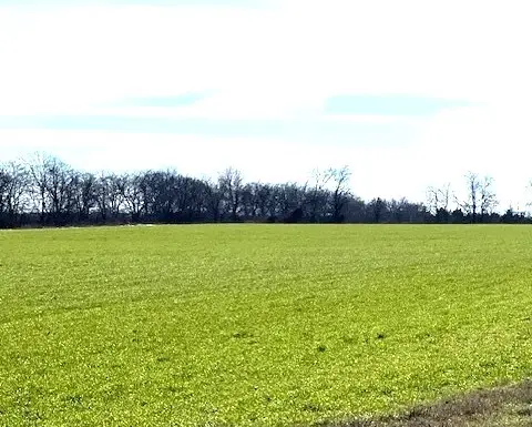 tbd Farm Road 824, Roxton, TX 75477 - #2