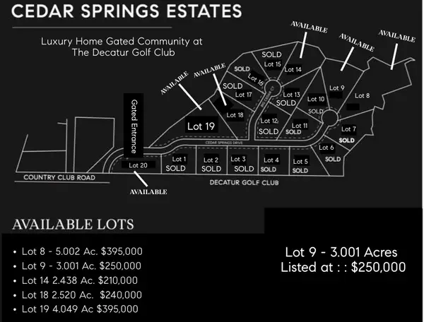Lot 9 Cedar Springs Drive, Decatur, TX 76234