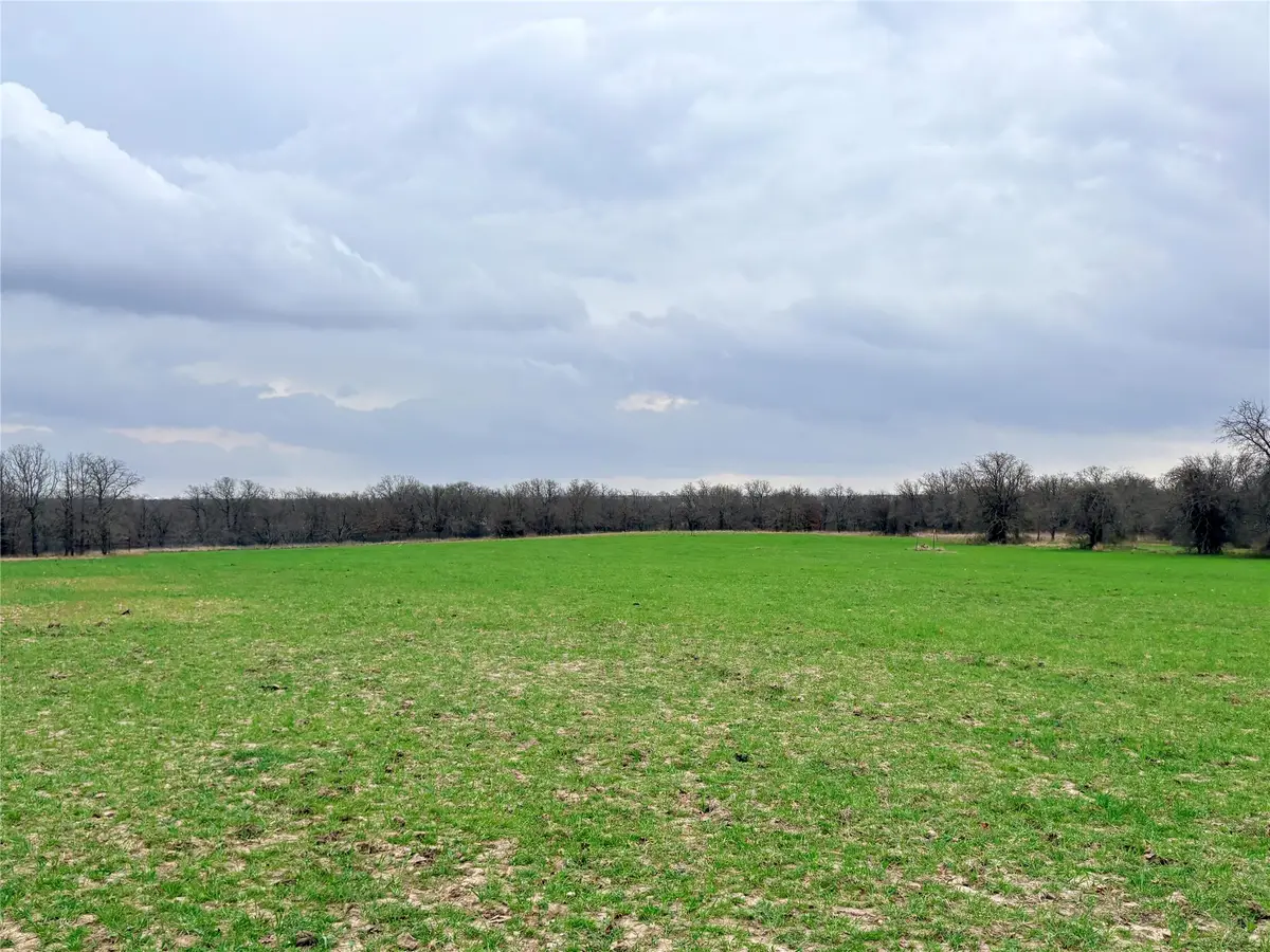 3187 Elenburg Road, Perrin, TX 76486 - #1