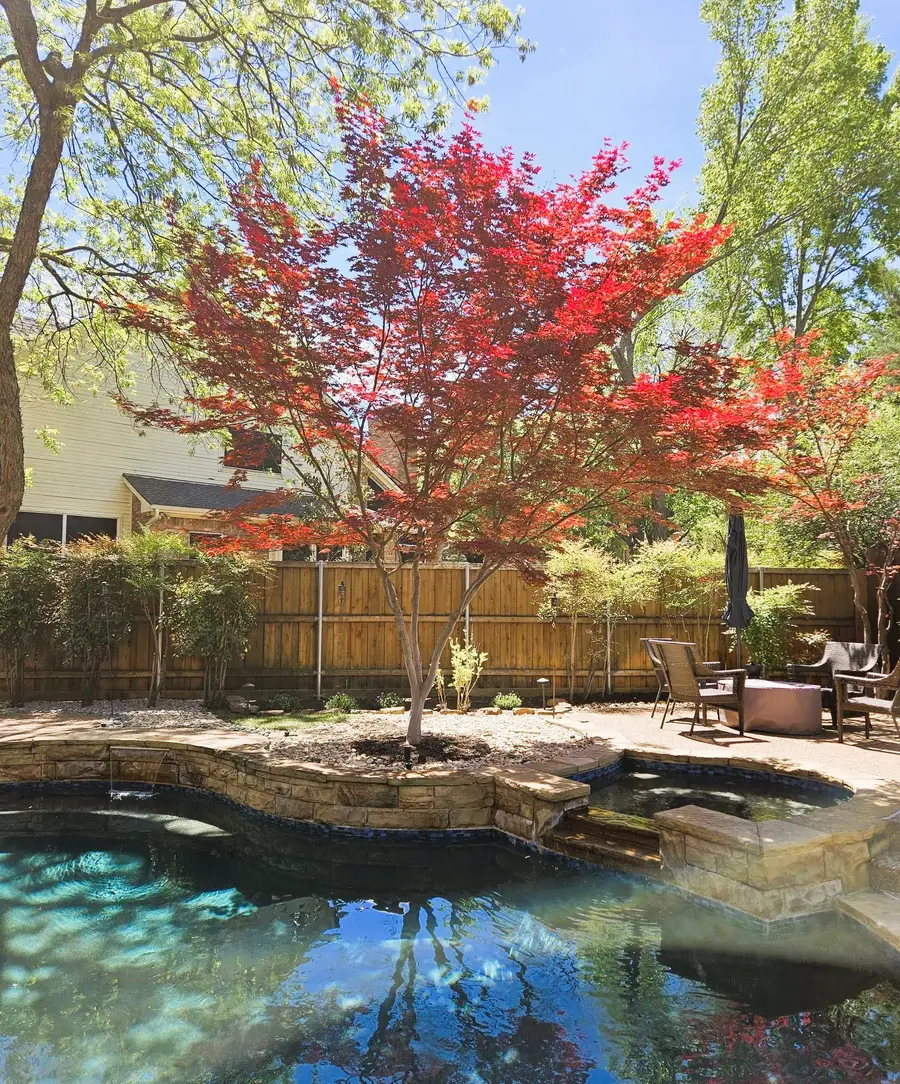 113 Lake Forest Court, Garland, TX 75044 - #3