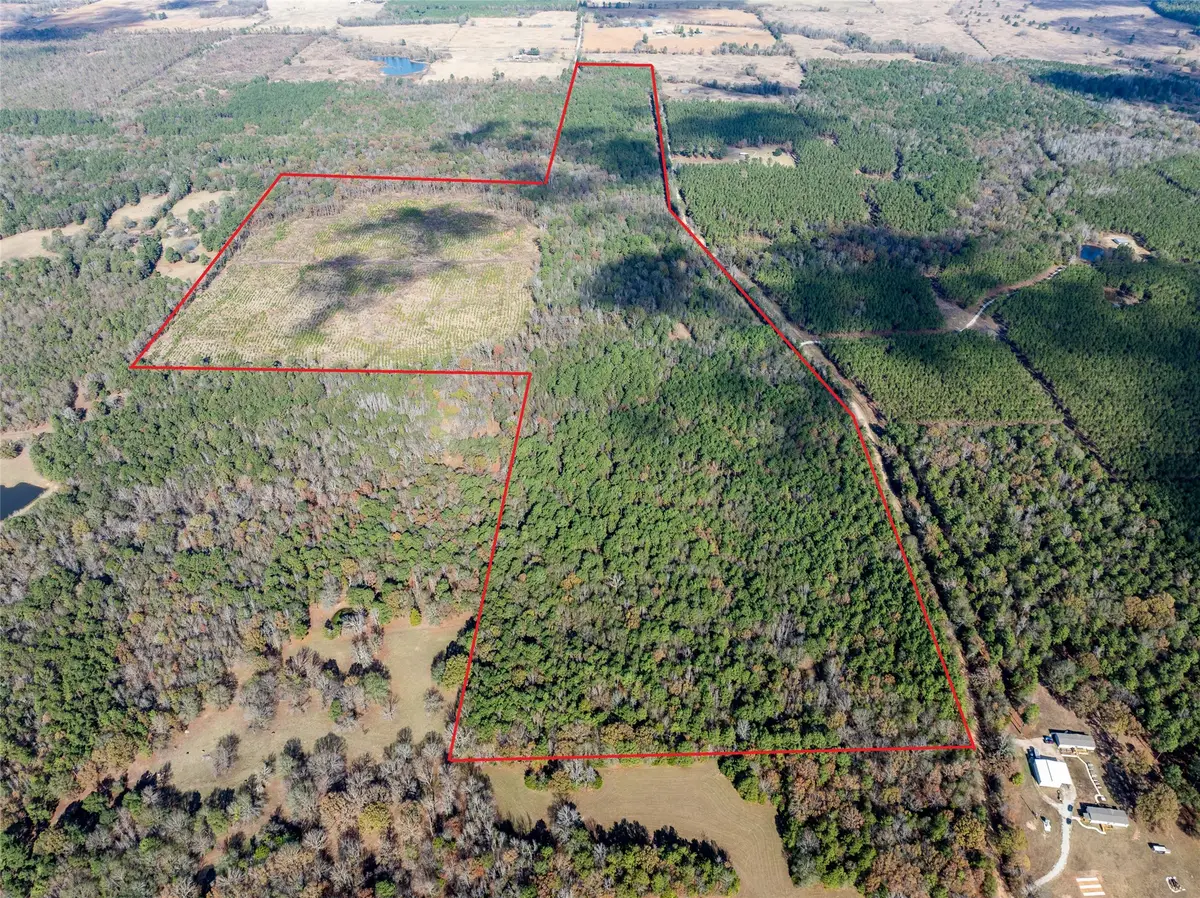 0 County Road 2235, Bagwell, TX 75412 - #1