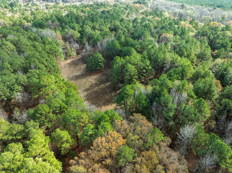 0 County Road 2235, Bagwell, TX 75412 - #2