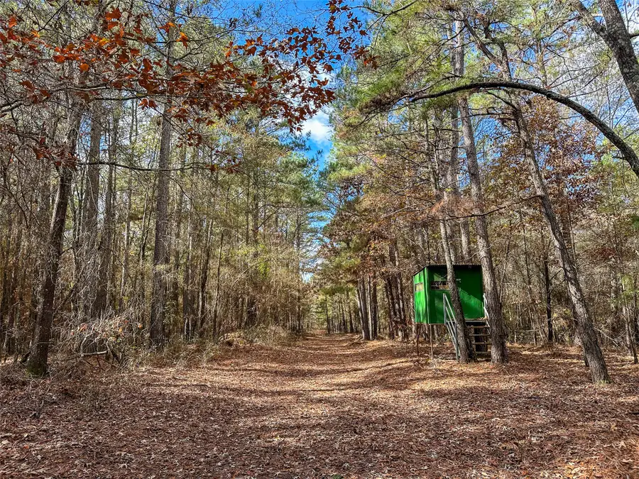 0 County Road 2235, Bagwell, TX 75412 - #3