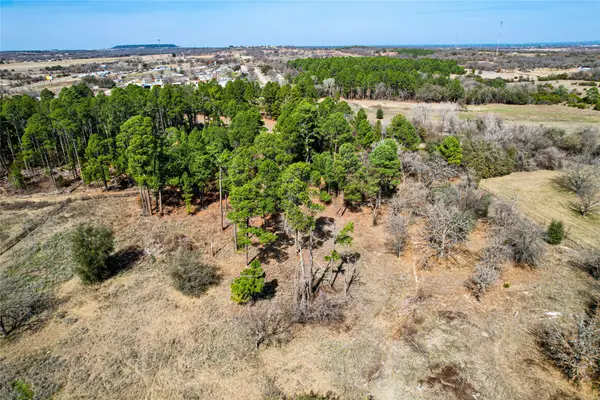 300 Cowboy Court, Granbury, TX 76048