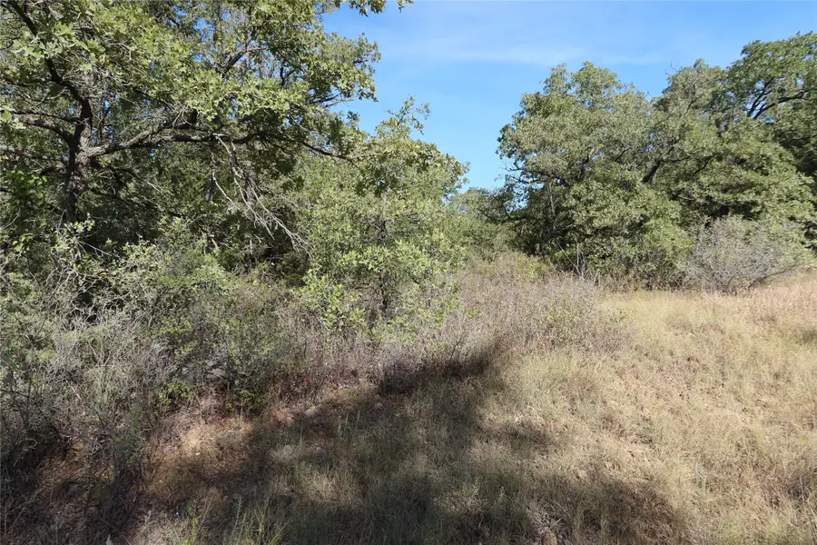 TBD Pecan, Bowie, TX 76230 - #3