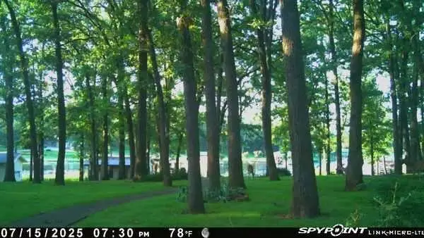 395 County Road 1780 Road, Yantis, TX 75497 - #3