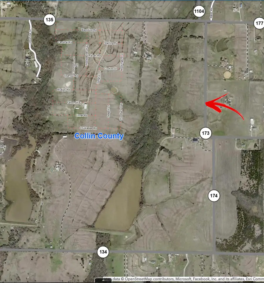 TBD3 County Road 173, Celina, TX 75009 - #2