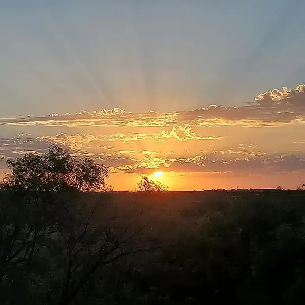 9608 County Road 452, Merkel, TX 79536