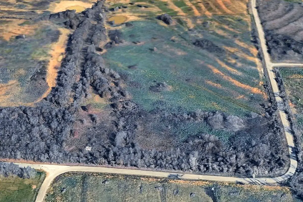 890 Clover Drive, Poolville, TX 76487 - #1