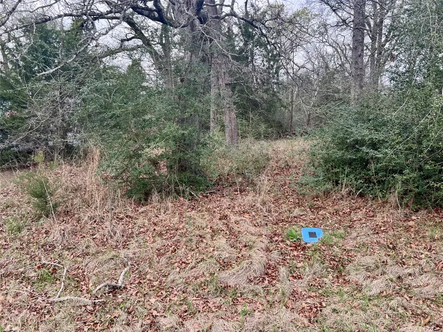 559 An County Road 2223, Tennessee Colony, TX 75861 - #2