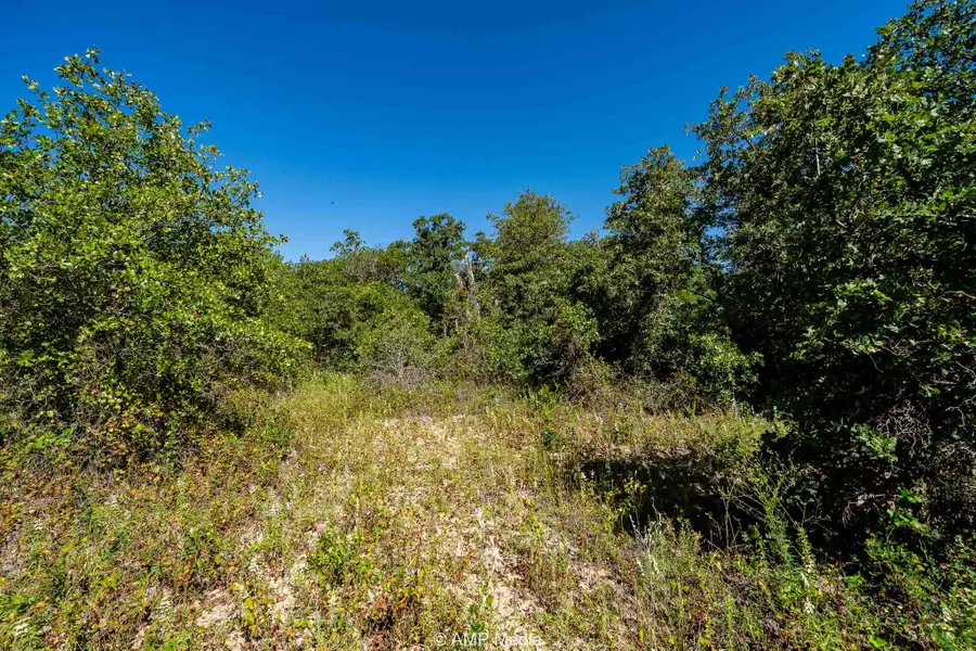 0000 County Road 240, Rising Star, TX 76471 - #3