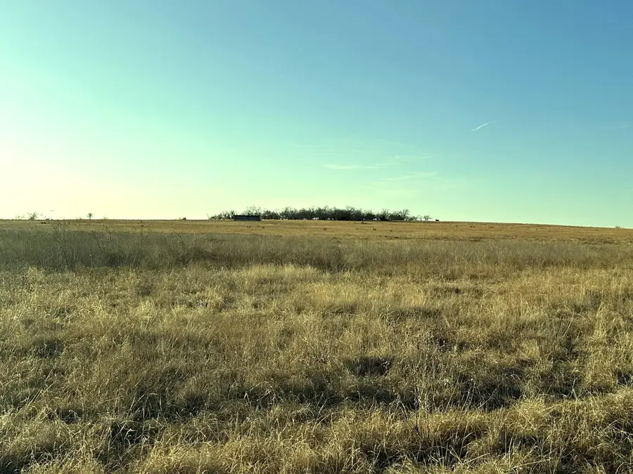 TBD County Road 224, Jonesboro, TX 76538 - #3