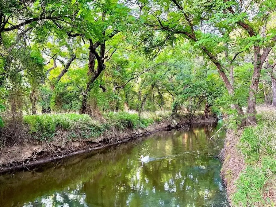 7328 Hwy 183 N, Early, TX 76802 - #2