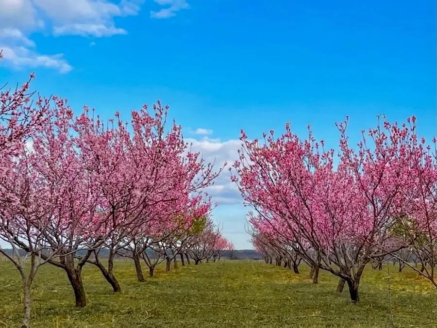 7328 Hwy 183 N, Early, TX 76802 - #3